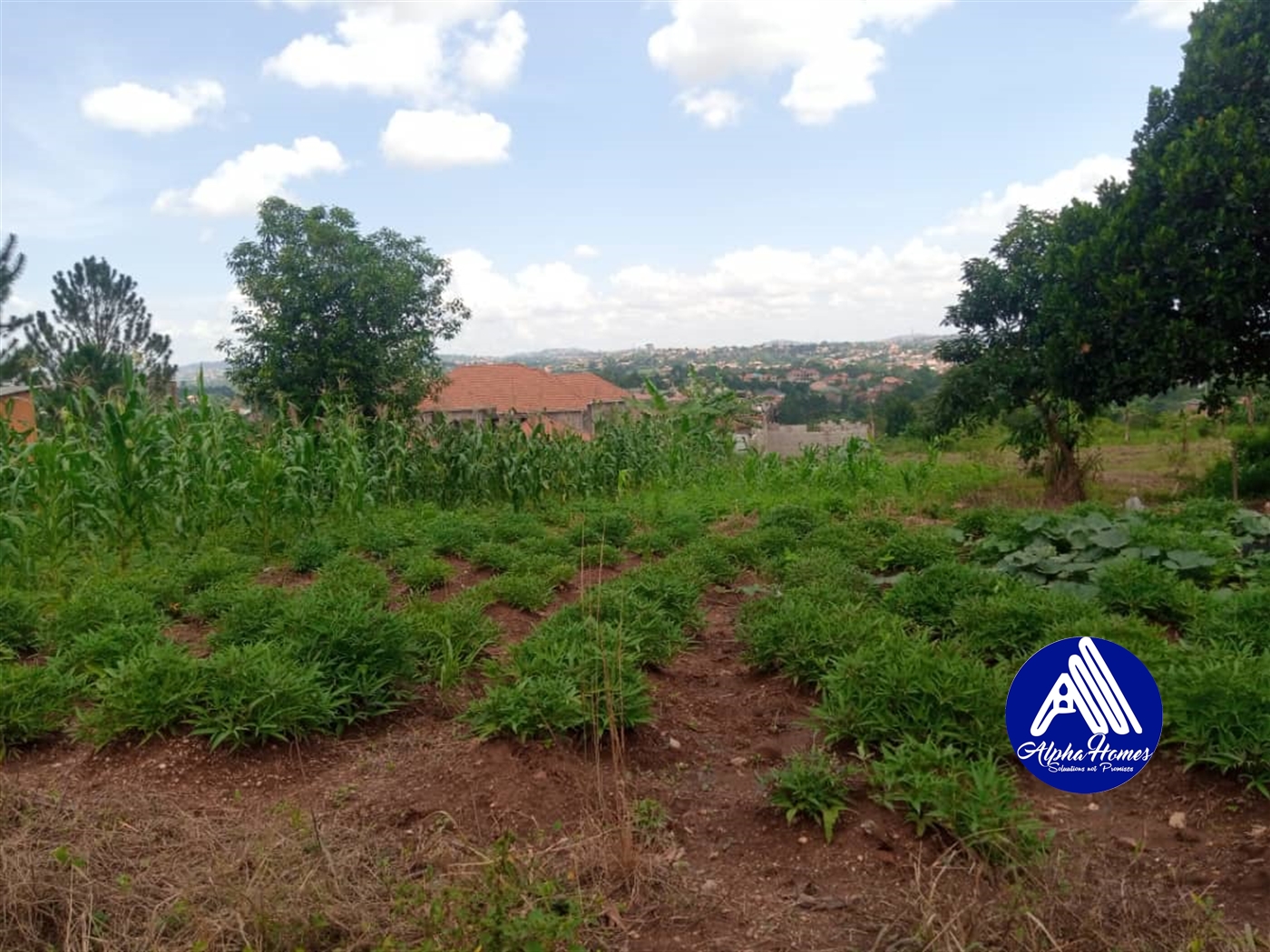 Residential Land for sale in Namugongo Wakiso