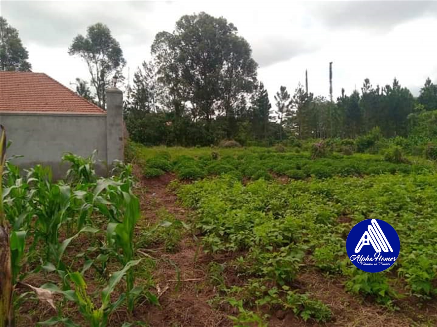 Residential Land for sale in Namugongo Wakiso