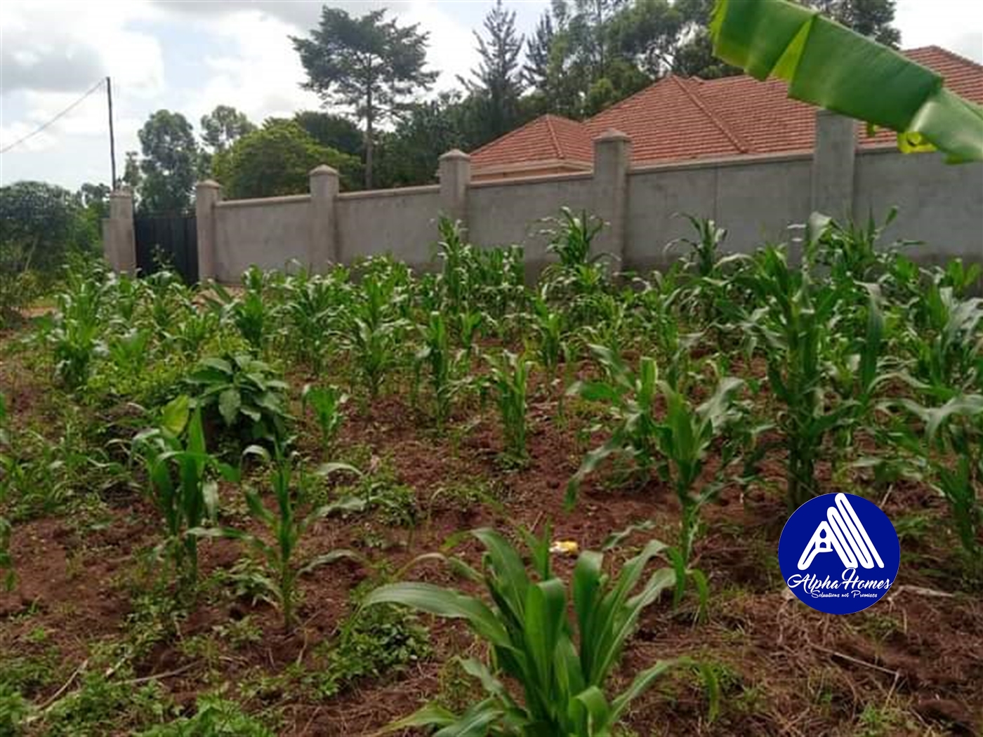 Residential Land for sale in Namugongo Wakiso