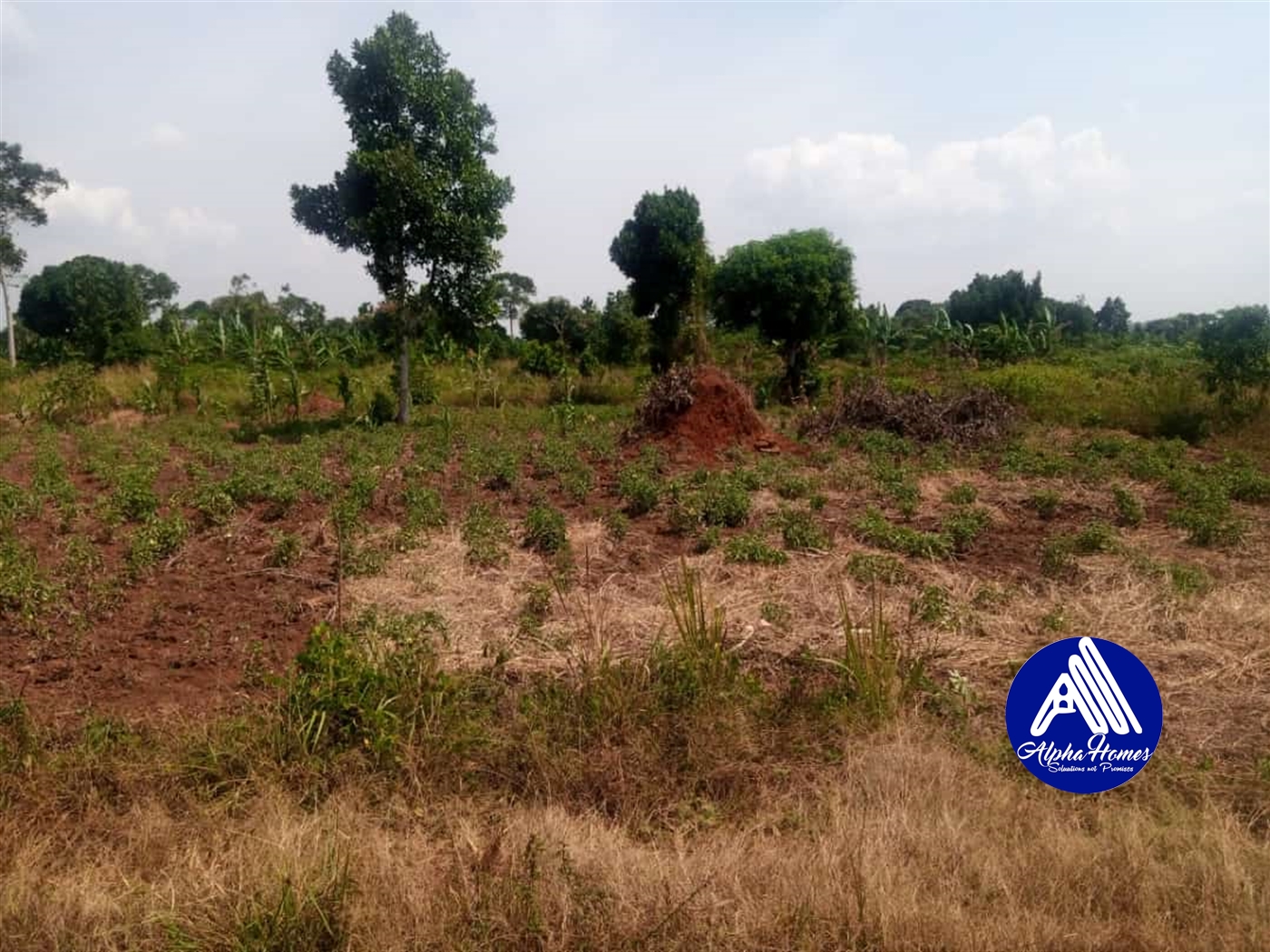 Residential Land for sale in Gayaza Wakiso