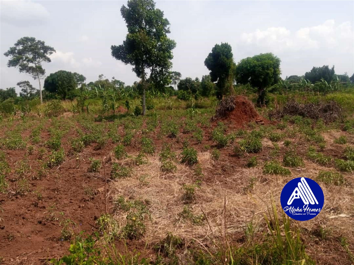 Residential Land for sale in Gayaza Wakiso