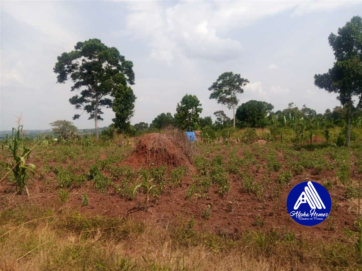 Residential Land for sale in Gayaza Wakiso