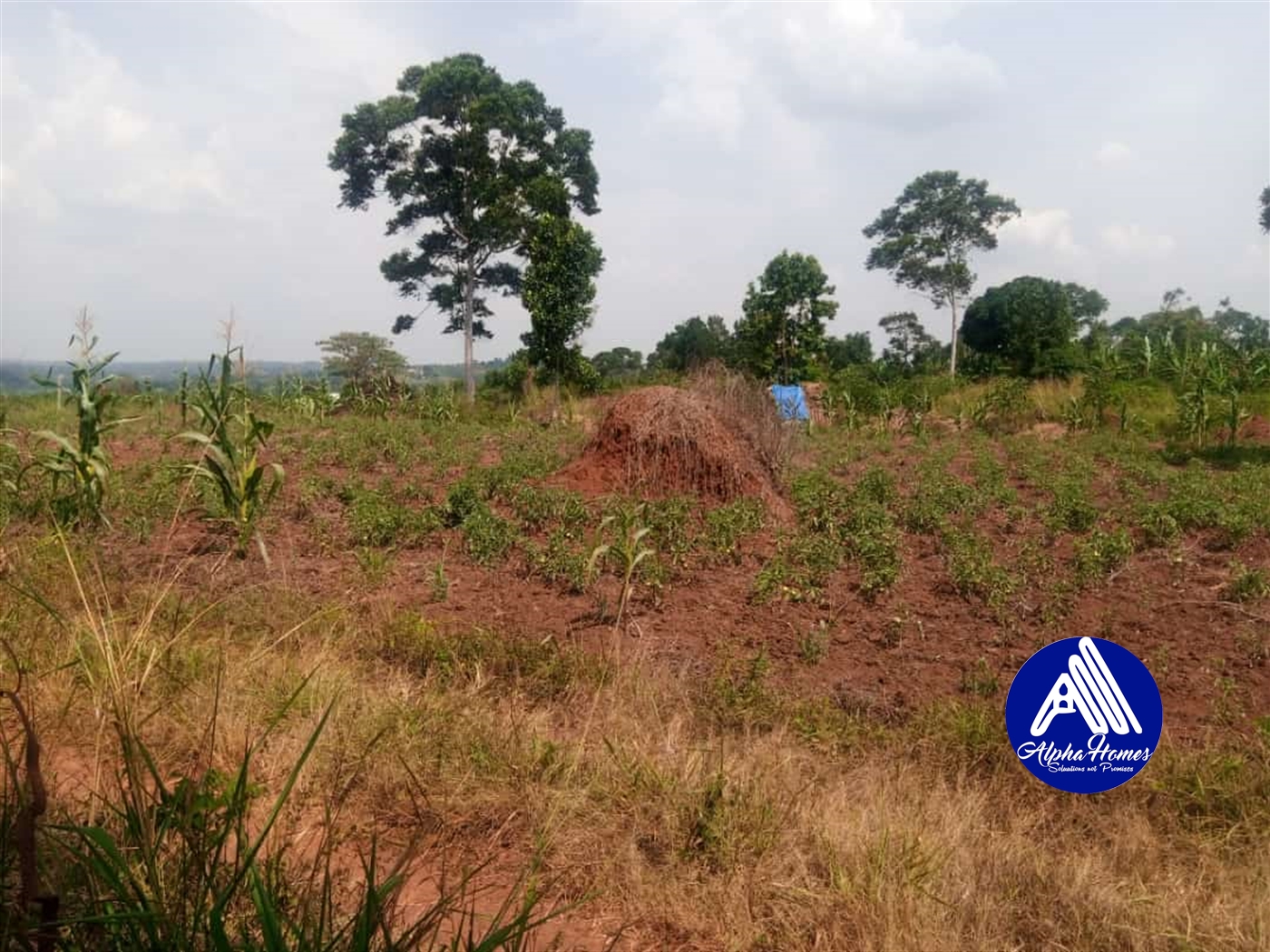 Residential Land for sale in Gayaza Wakiso