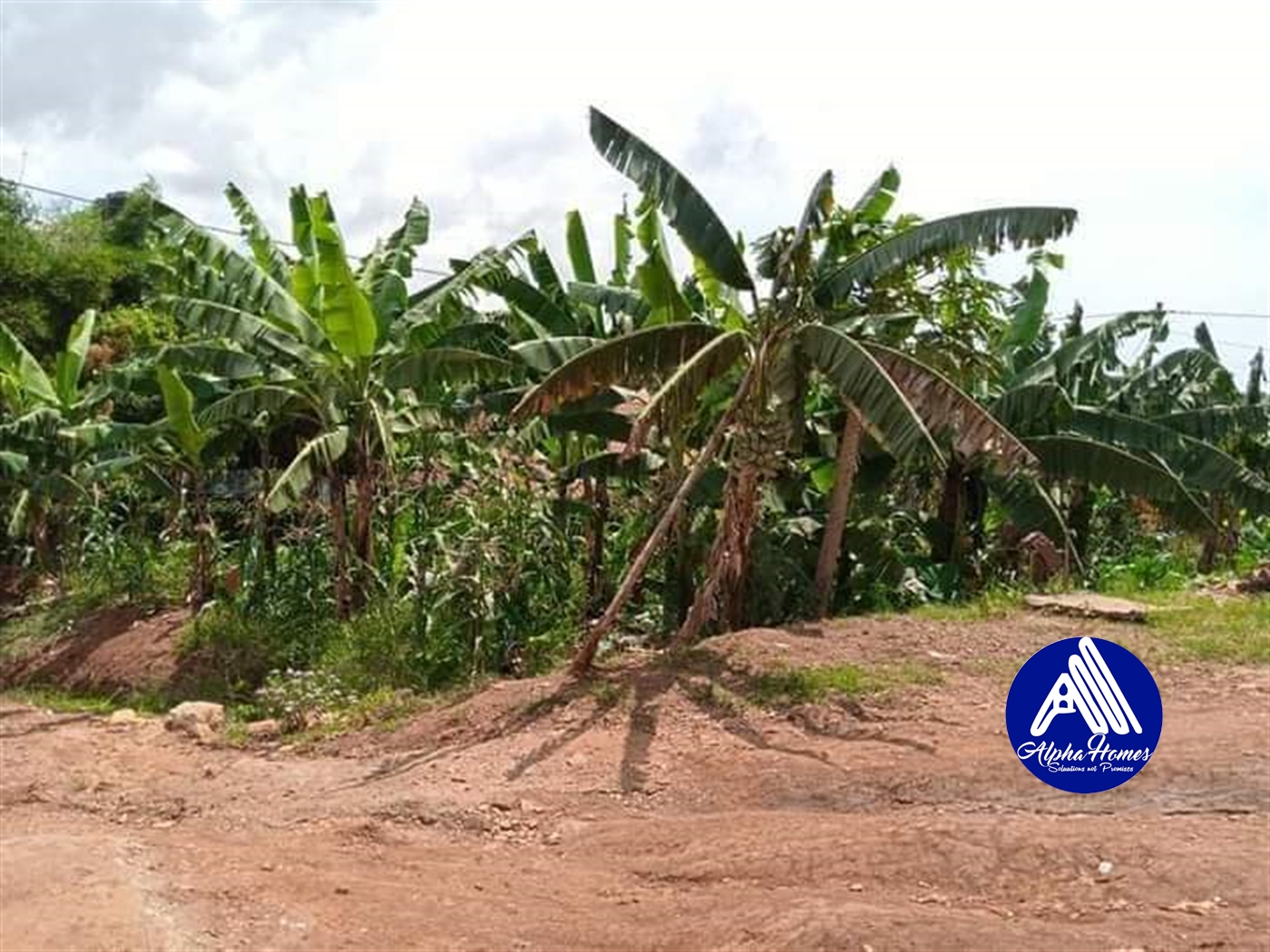 Residential Land for sale in Kyaliwajjala Wakiso