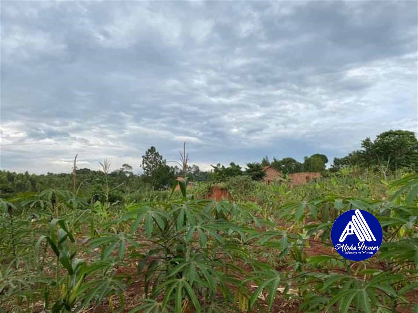 Agricultural Land for sale in Kira Wakiso