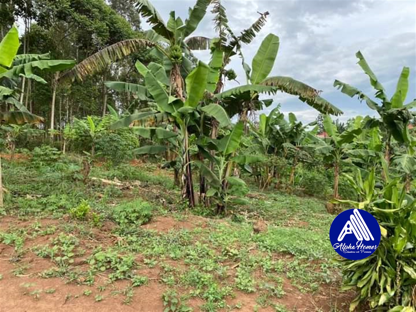 Agricultural Land for sale in Kira Wakiso