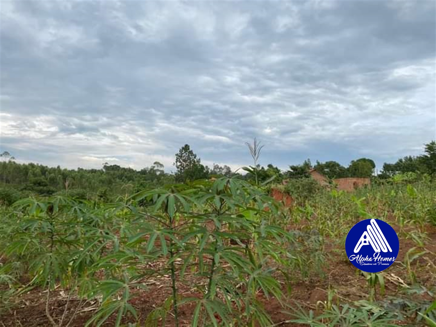 Agricultural Land for sale in Kira Wakiso