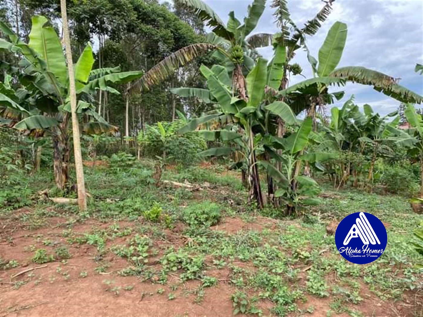 Agricultural Land for sale in Kira Wakiso