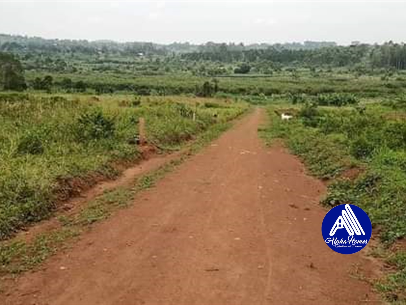 Residential Land for sale in Gayaza Wakiso