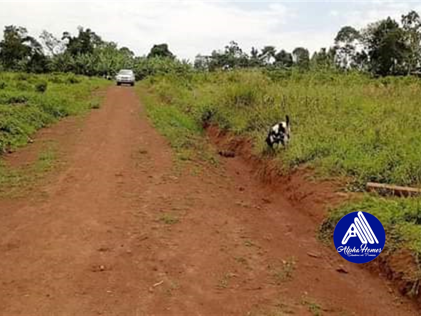 Residential Land for sale in Gayaza Wakiso