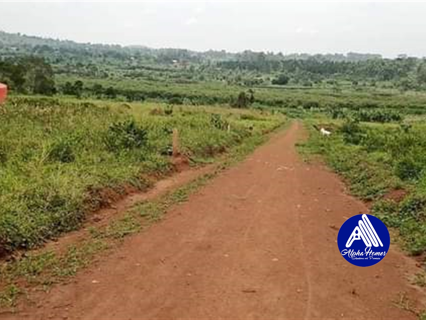 Residential Land for sale in Gayaza Wakiso