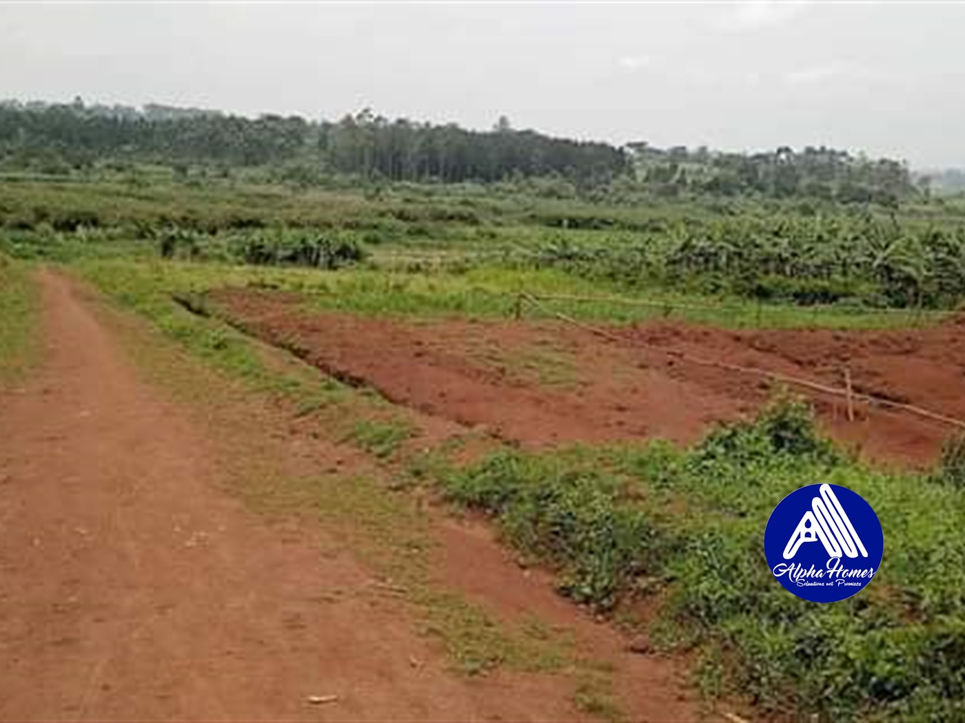 Residential Land for sale in Gayaza Wakiso