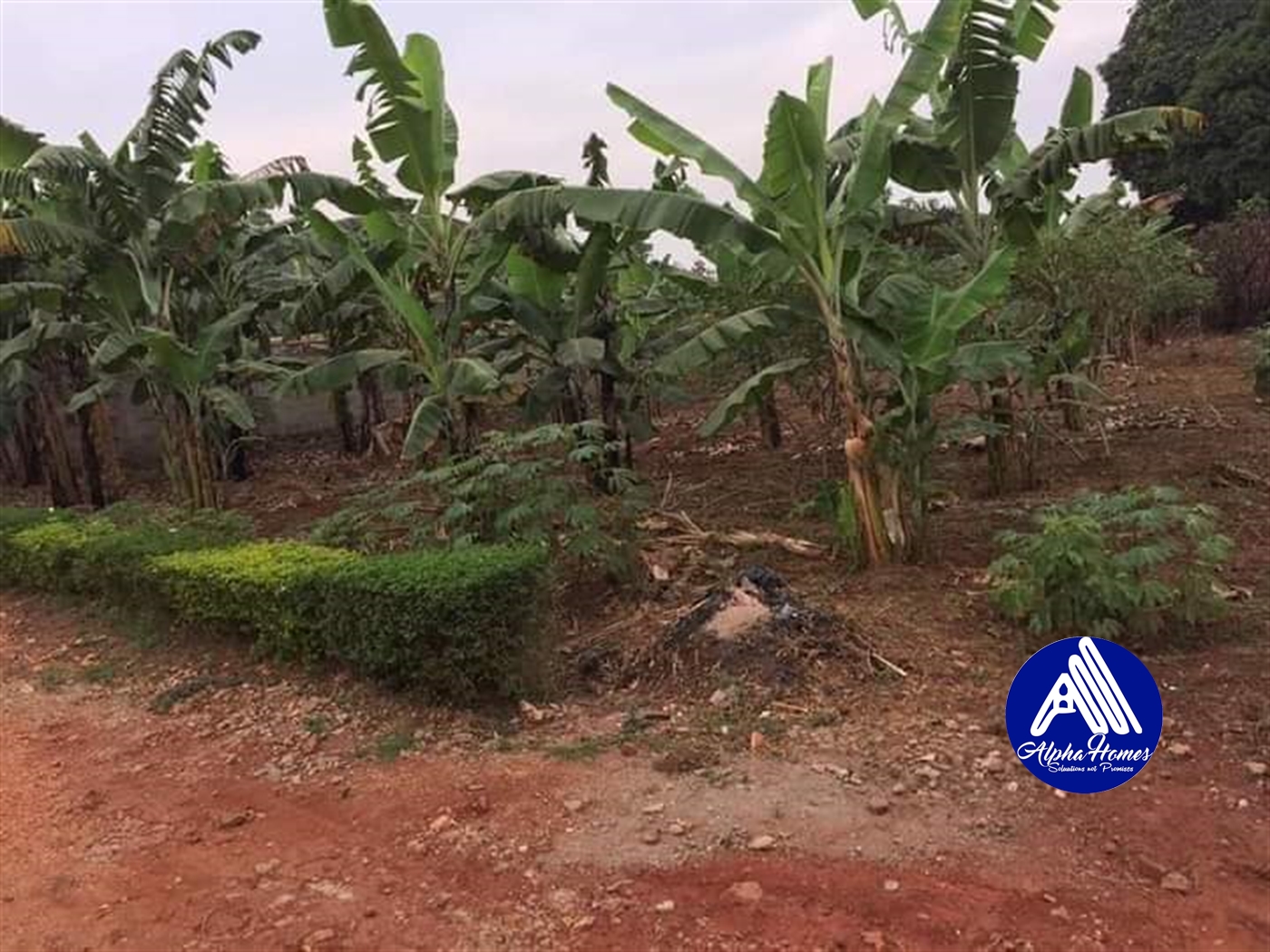 Residential Land for sale in Kira Wakiso