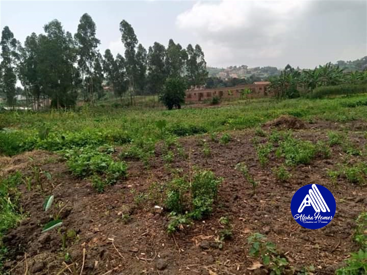 Multipurpose Land for sale in Bwebajja Wakiso