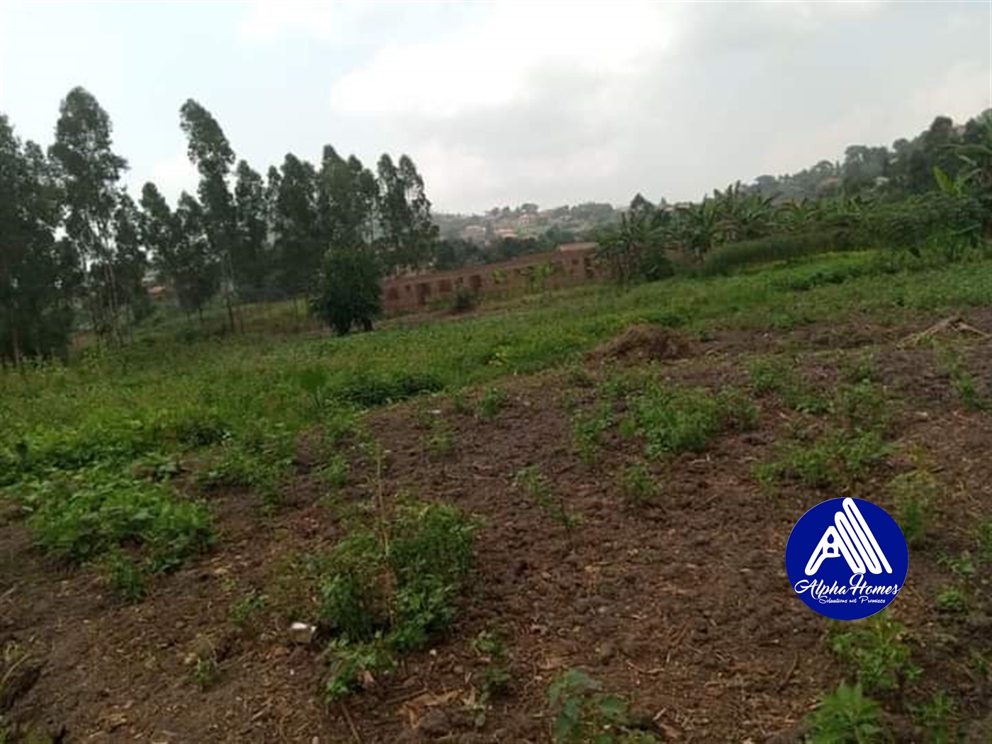 Multipurpose Land for sale in Bwebajja Wakiso