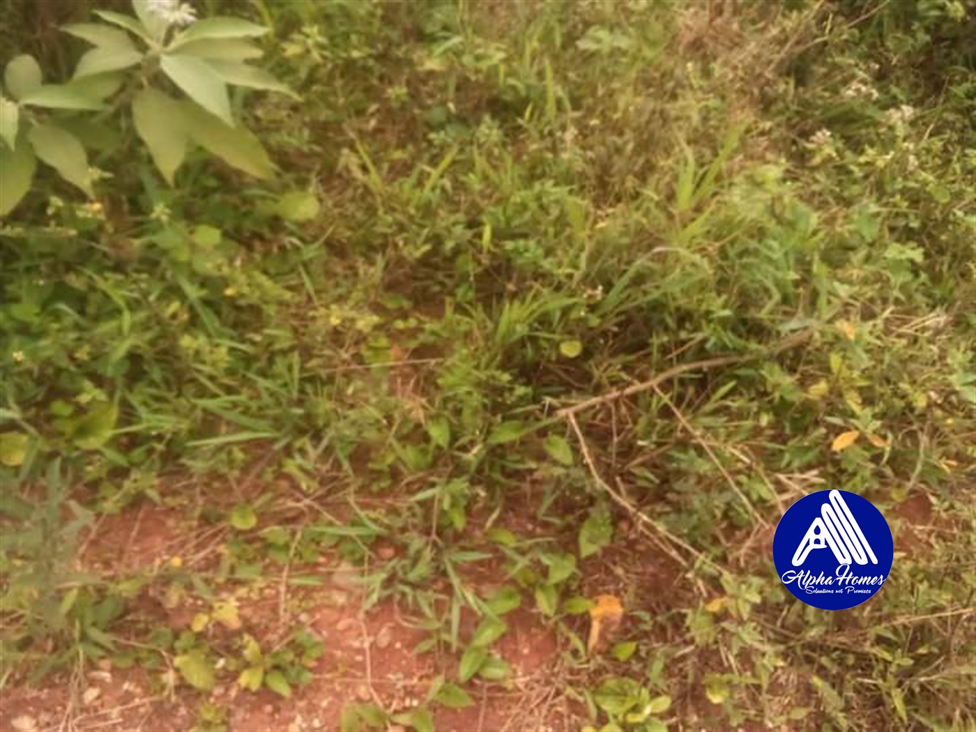 Residential Land for sale in Namugongo Wakiso