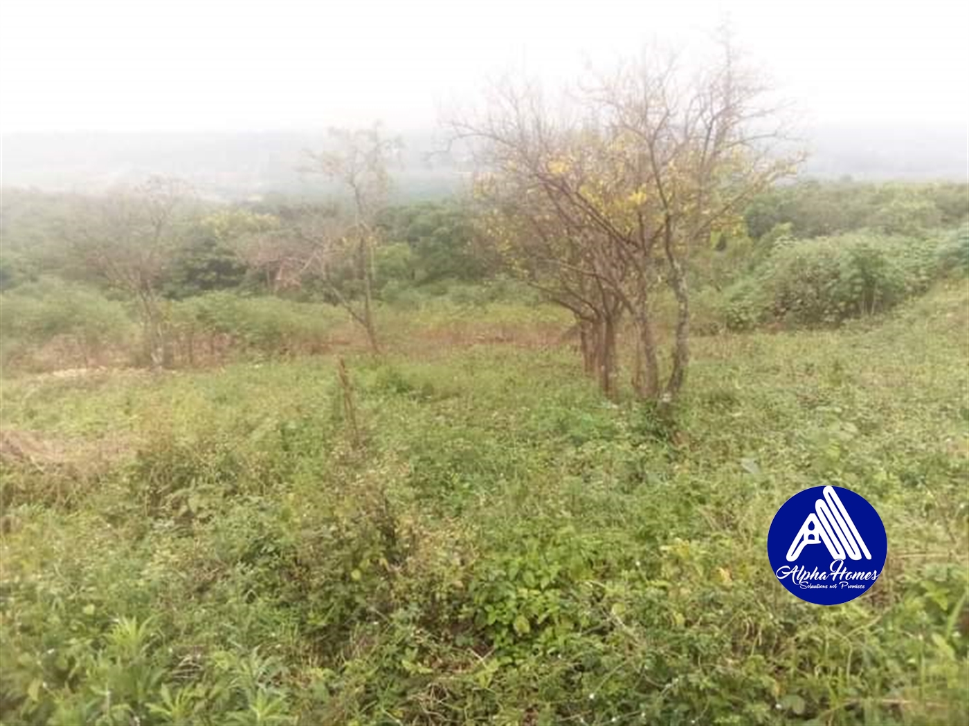 Residential Land for sale in Namugongo Wakiso