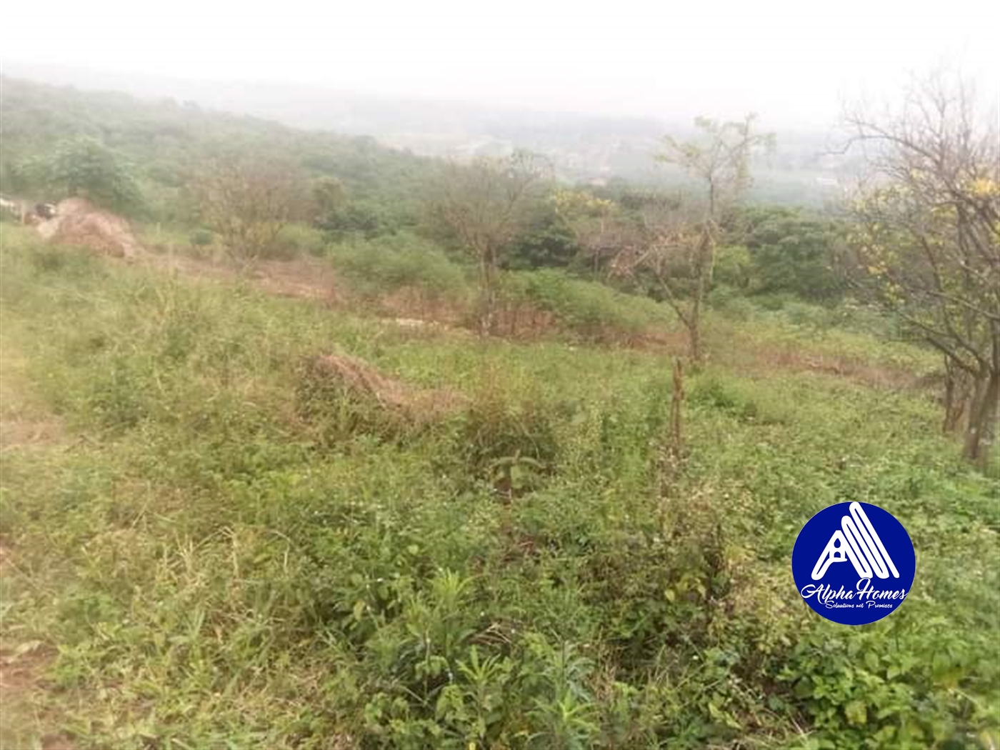 Residential Land for sale in Namugongo Wakiso