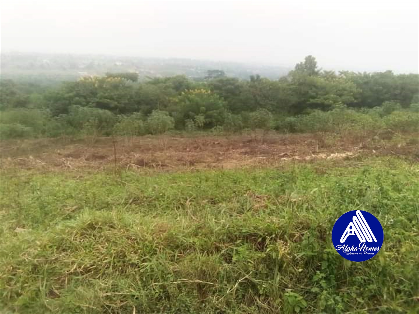 Residential Land for sale in Namugongo Wakiso