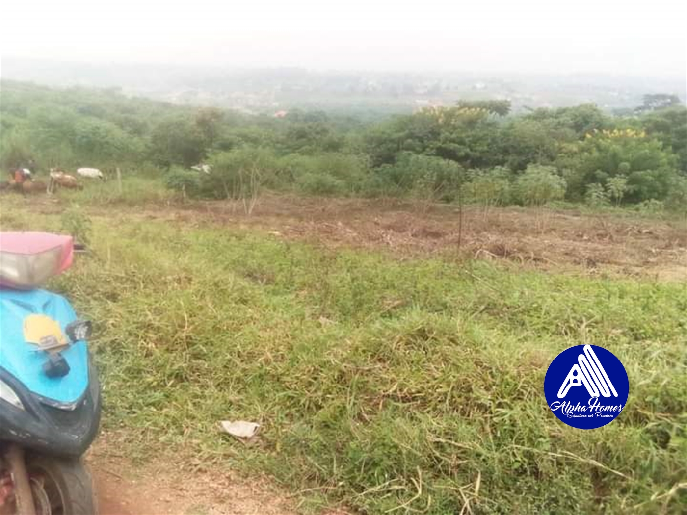 Residential Land for sale in Namugongo Wakiso