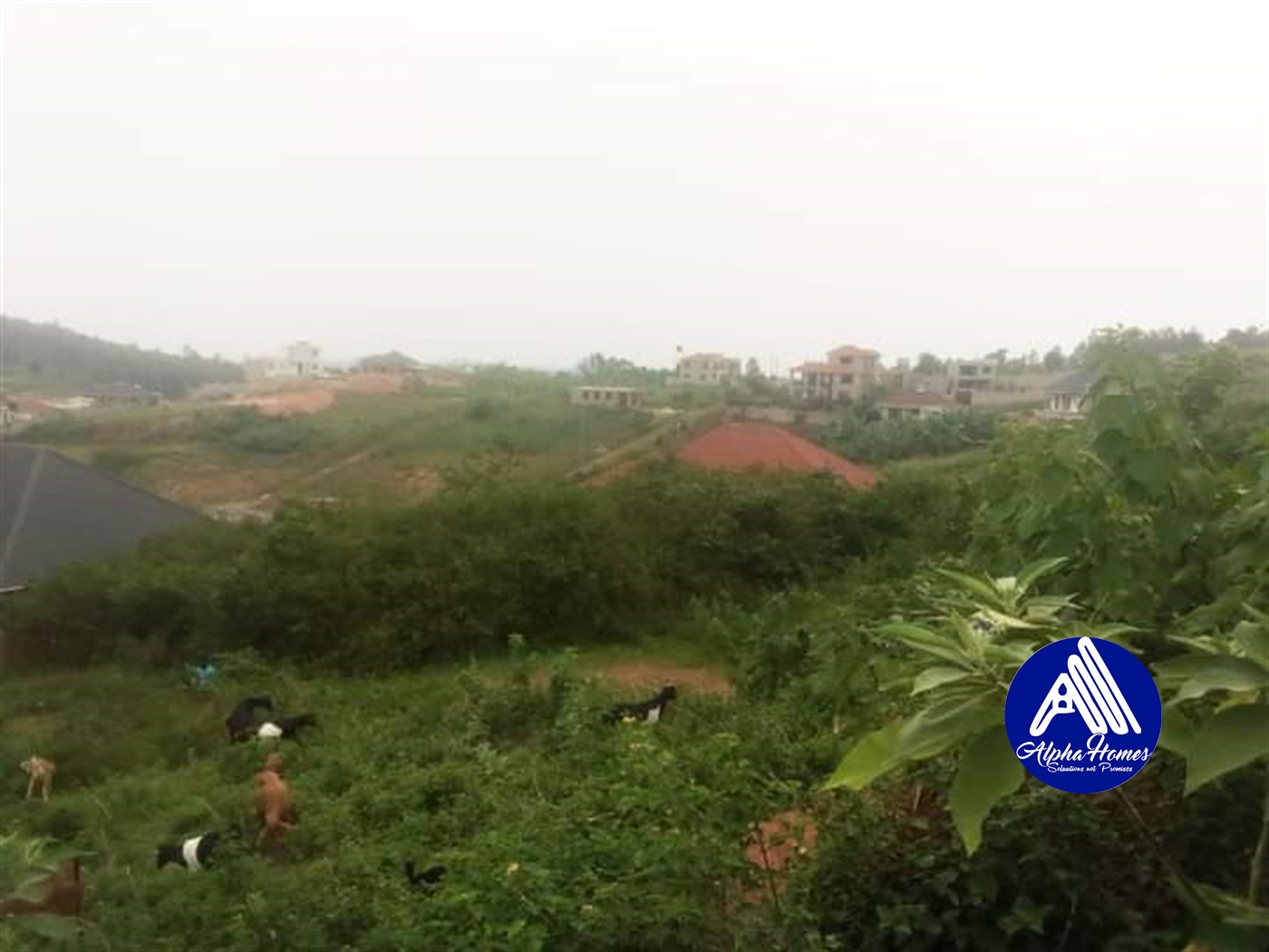 Residential Land for sale in Namugongo Wakiso