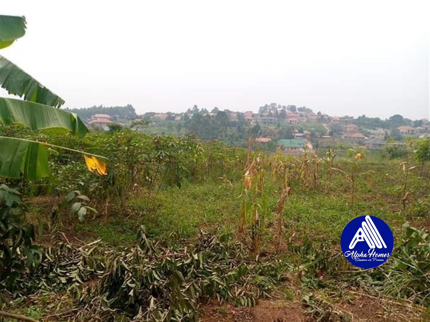 Residential Land for sale in Sonde Wakiso