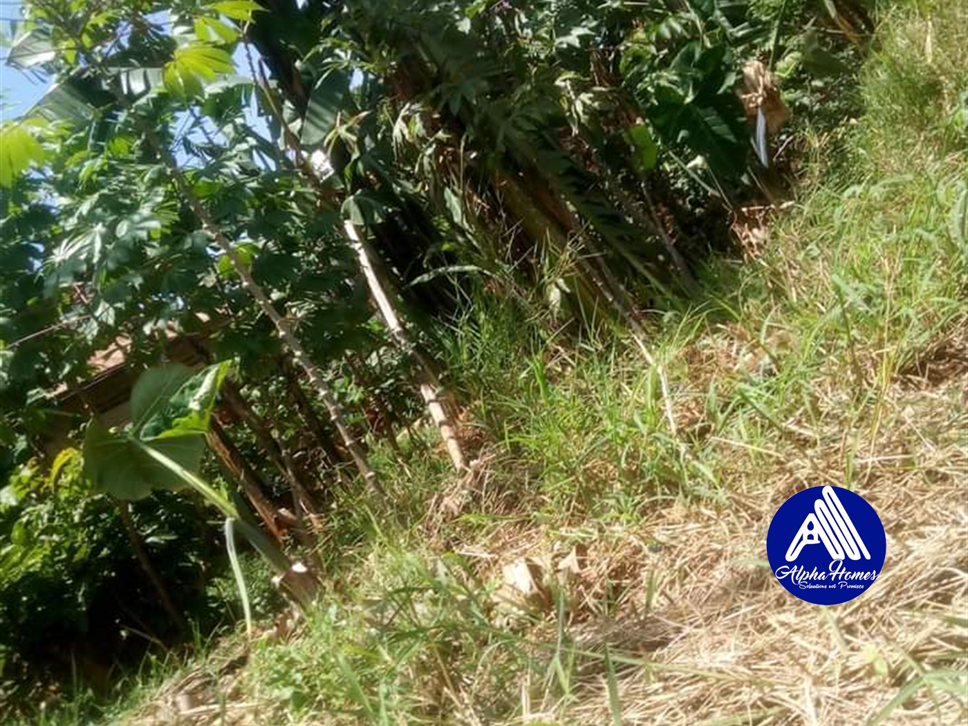 Residential Land for sale in Namugongo Wakiso