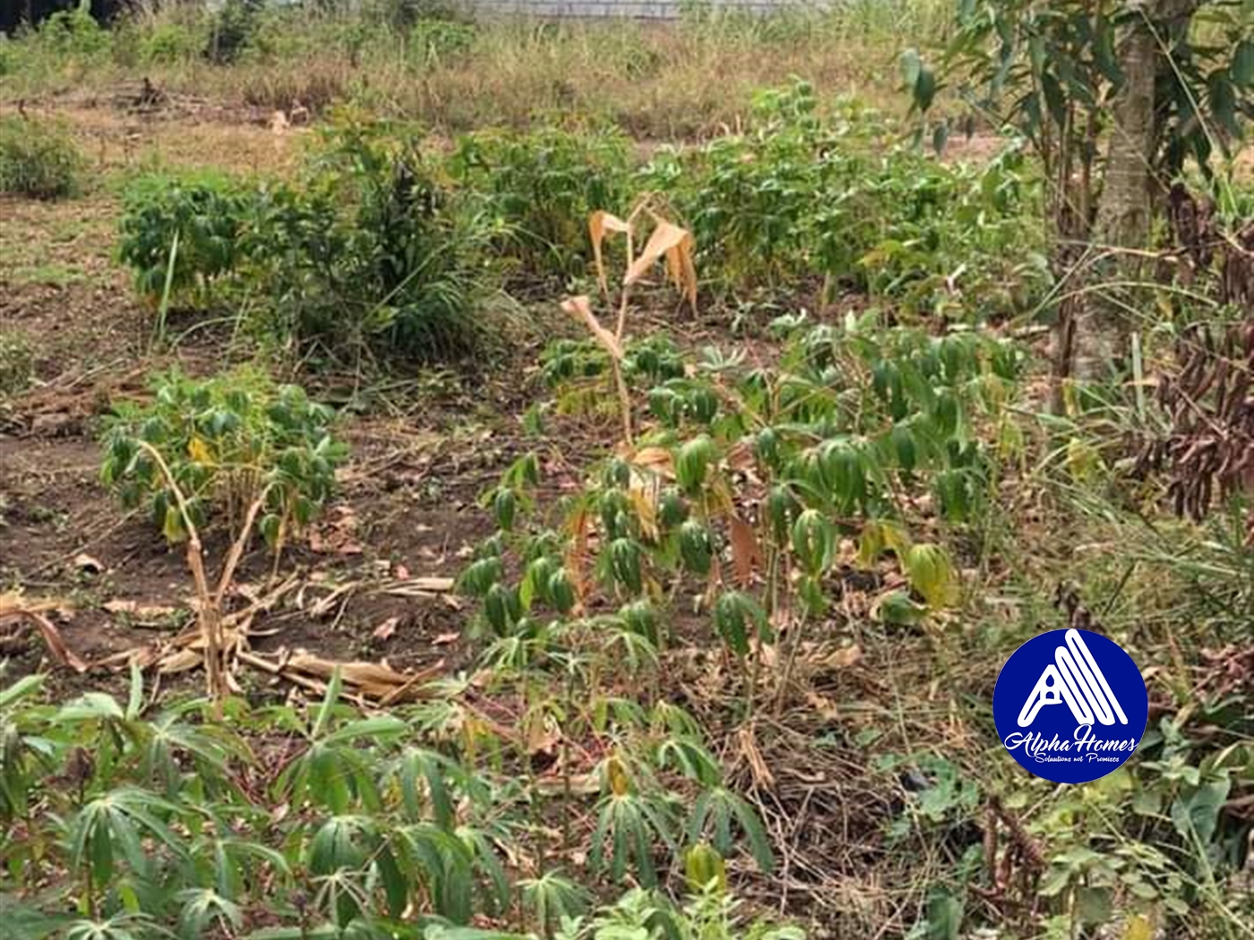 Residential Land for sale in Namugongo Wakiso