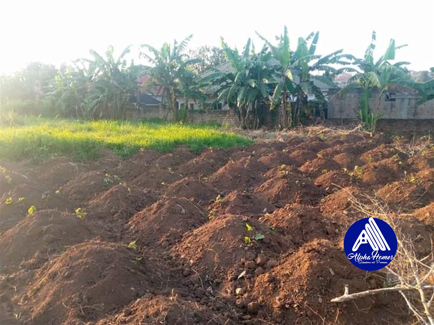 Residential Land for sale in Kira Wakiso