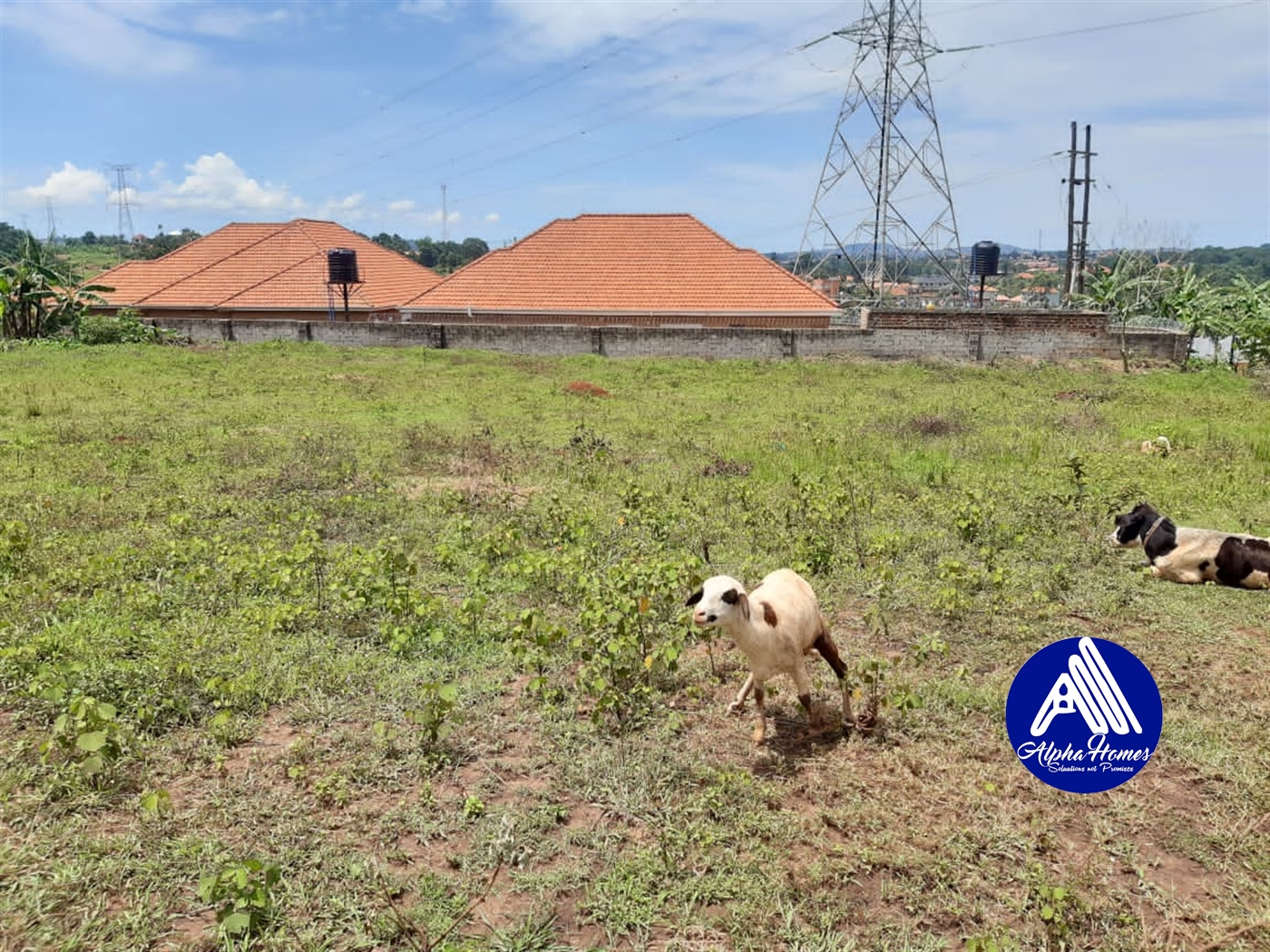 Residential Land for sale in Kira Wakiso