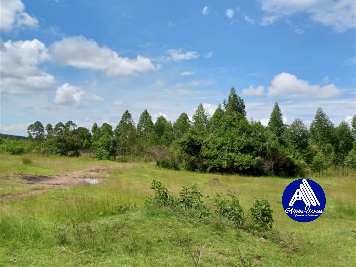 Residential Land for sale in Kisaasi Kampala