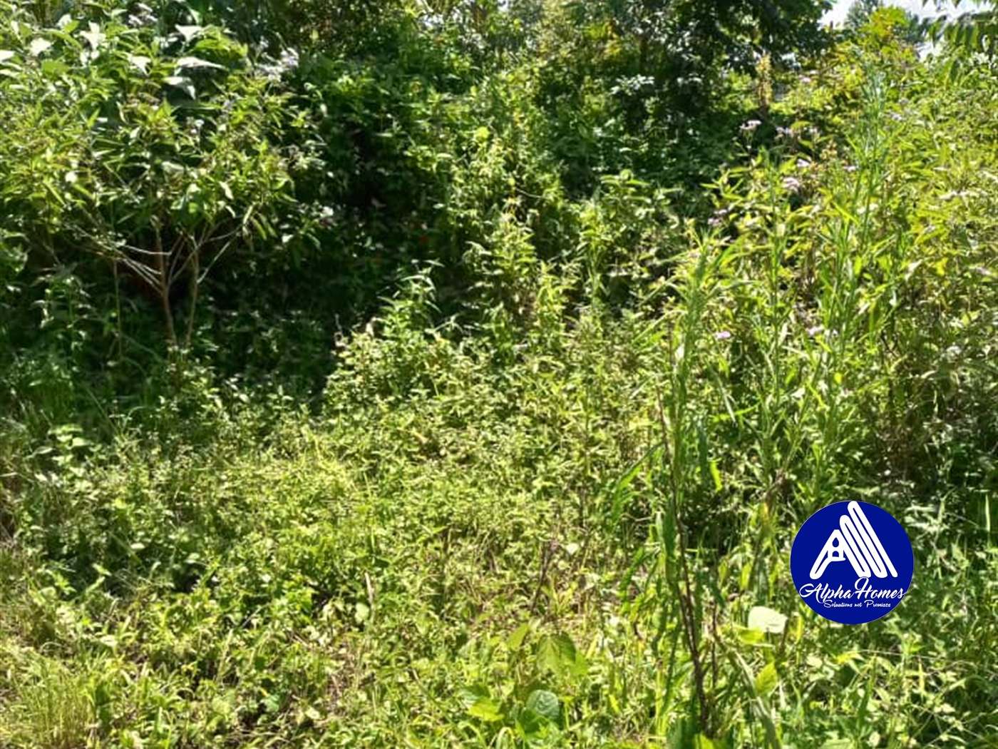 Residential Land for sale in Kisaasi Kampala