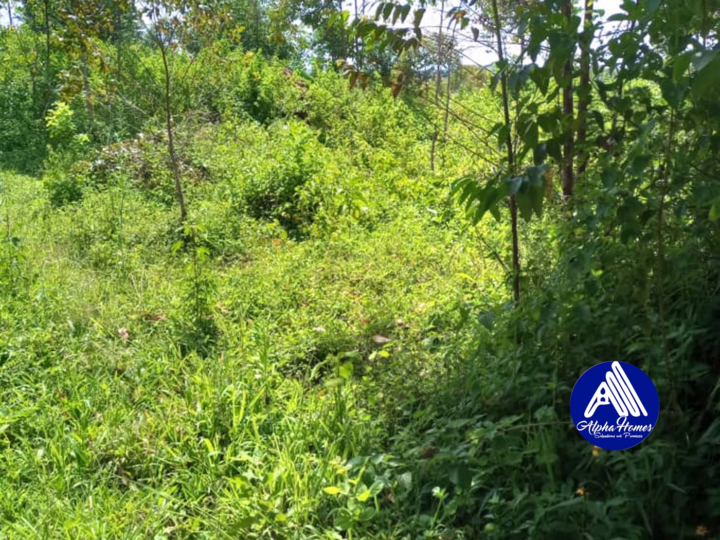 Residential Land for sale in Kisaasi Kampala