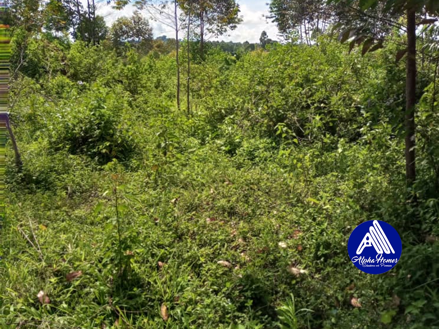 Residential Land for sale in Kisaasi Kampala