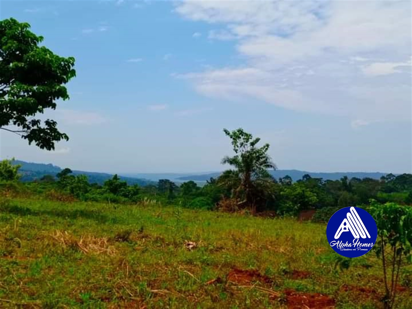 Agricultural Land for sale in Nabuta Buyikwe