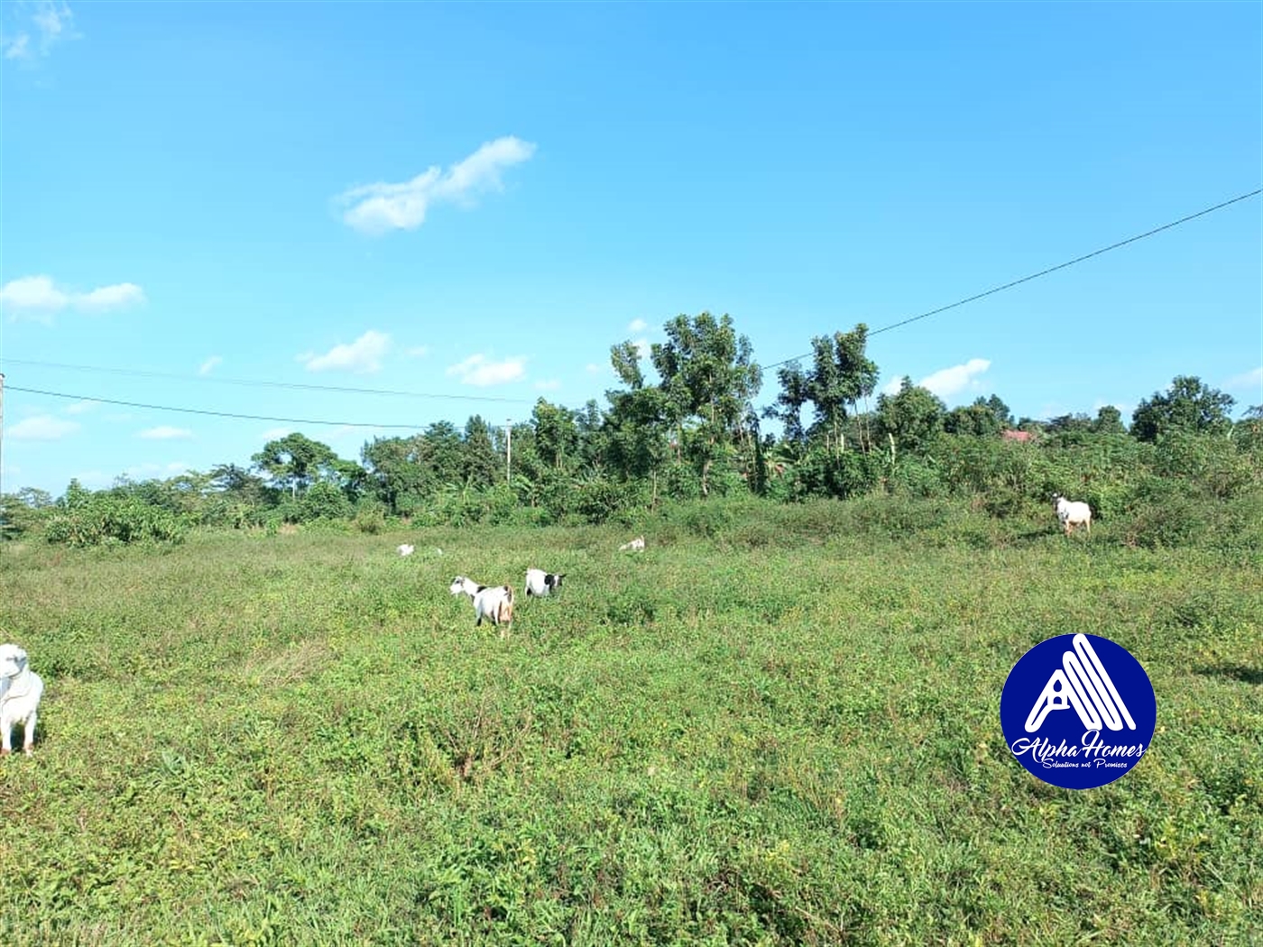 Residential Land for sale in Namugongo Wakiso