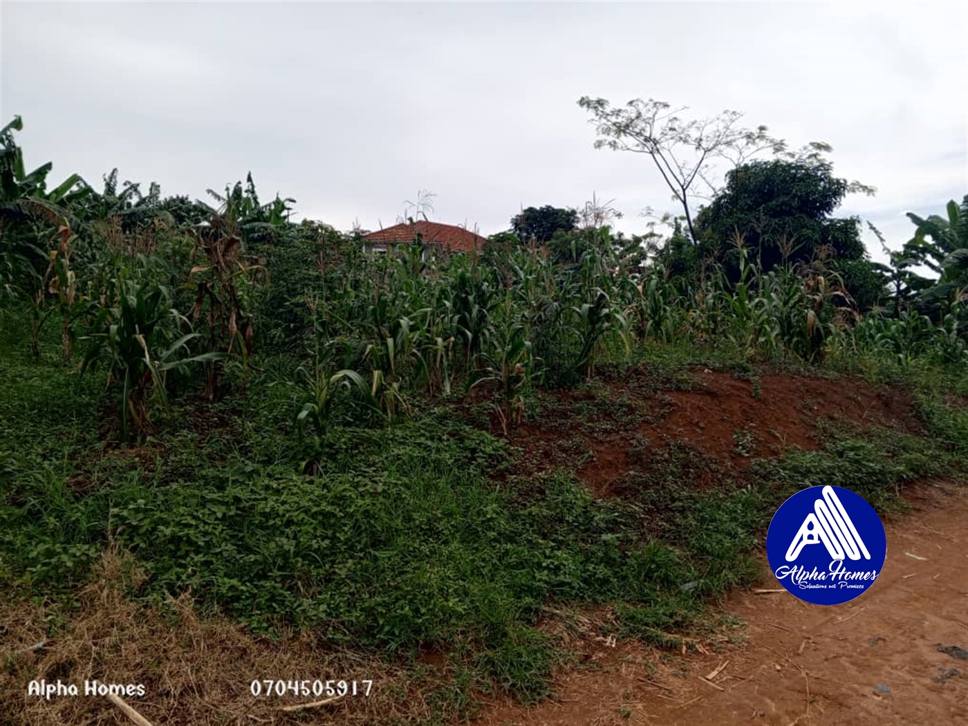 Residential Land for sale in Kyaliwajjala Wakiso