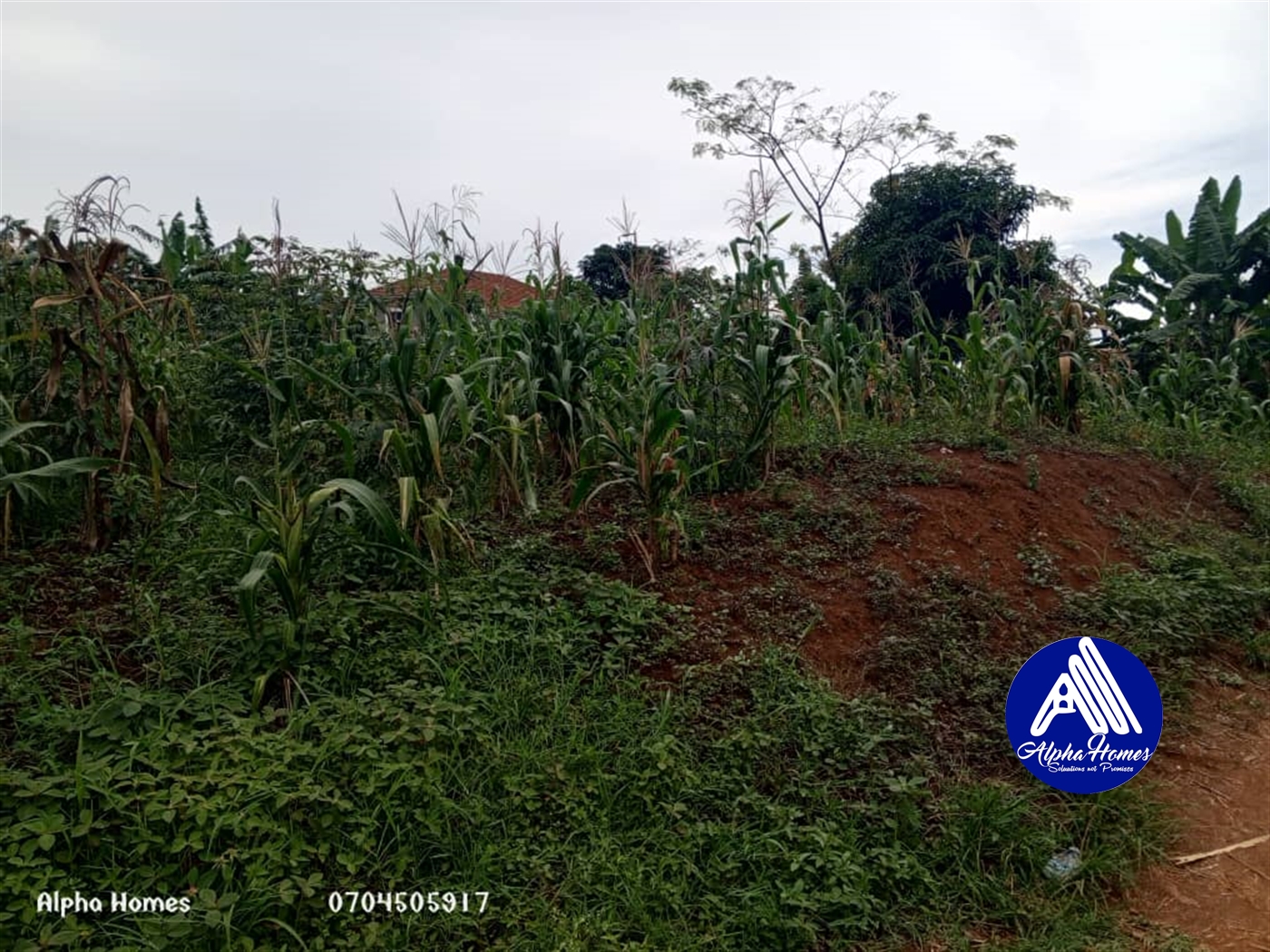 Residential Land for sale in Kyaliwajjala Wakiso