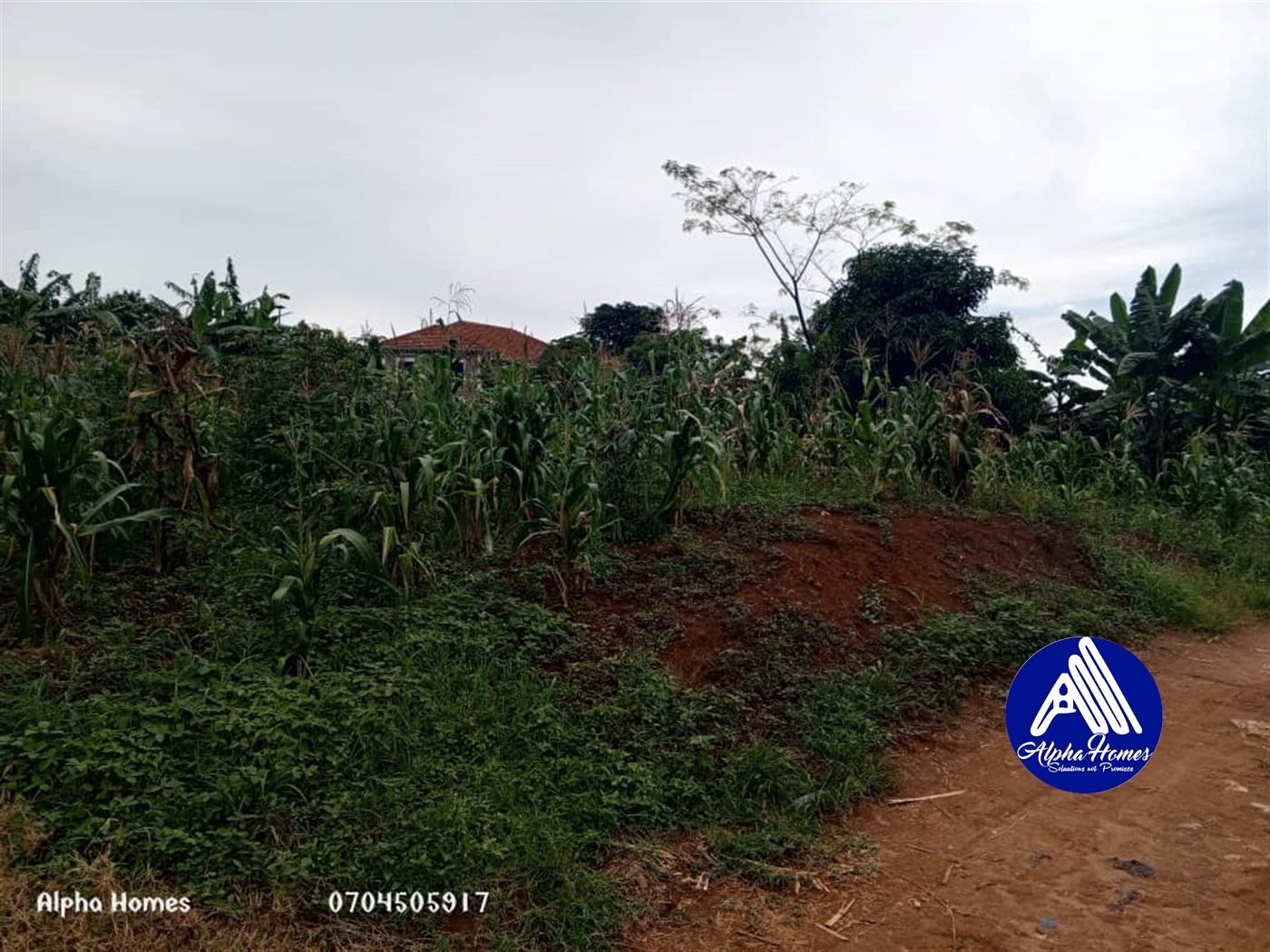 Residential Land for sale in Kyaliwajjala Wakiso