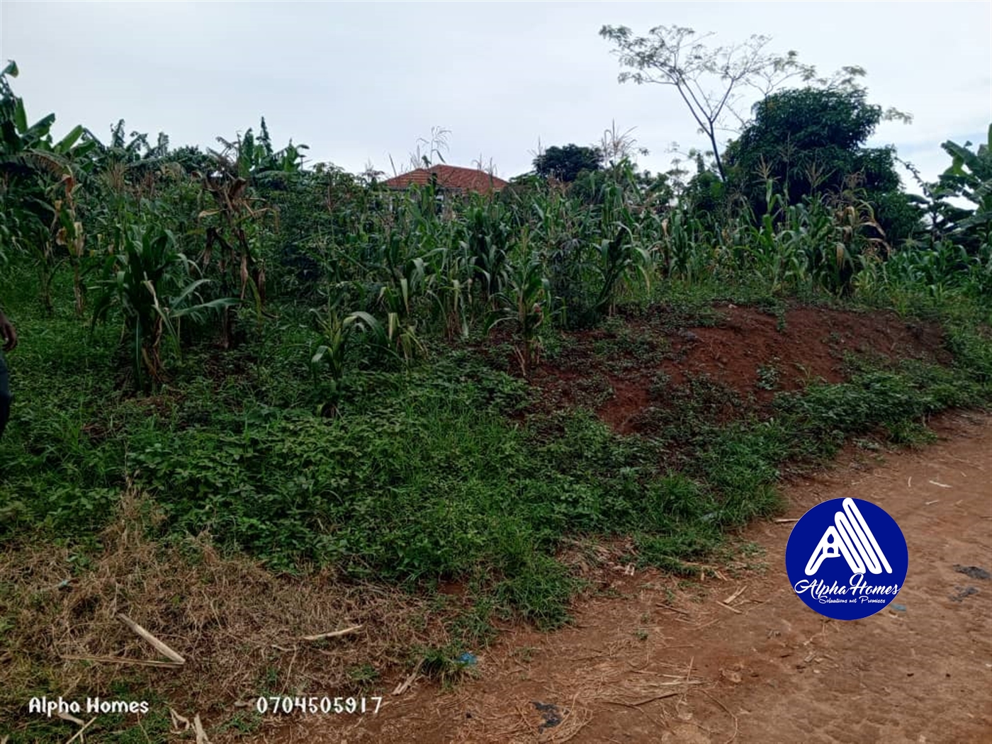 Residential Land for sale in Kyaliwajjala Wakiso