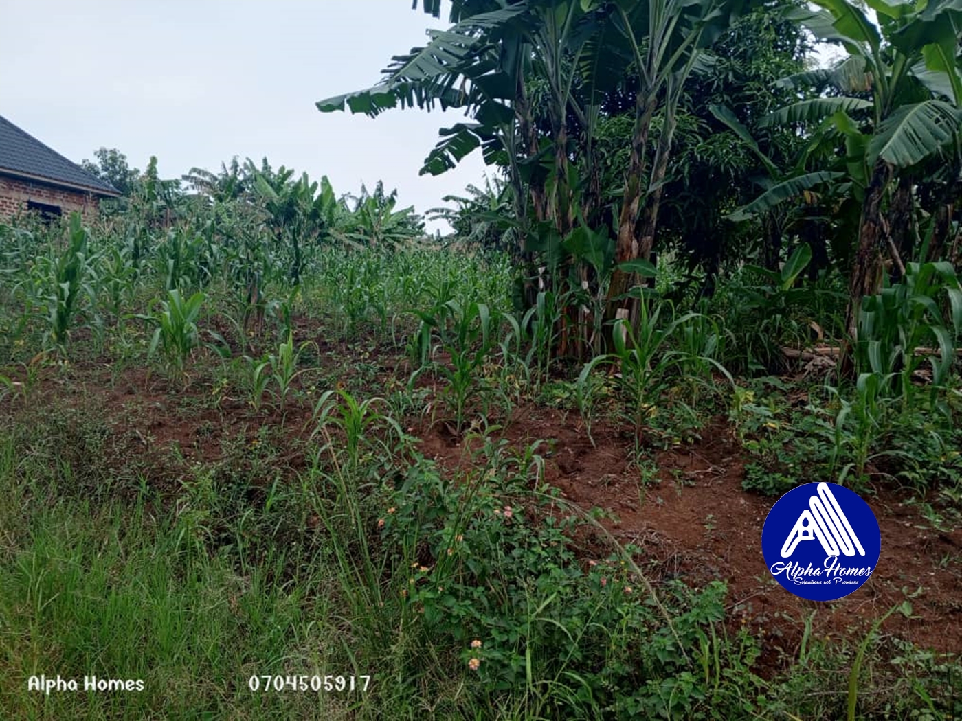 Residential Land for sale in Kyaliwajjala Wakiso