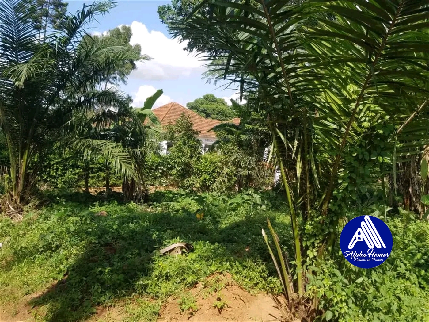 Residential Land for sale in Kasangati Wakiso