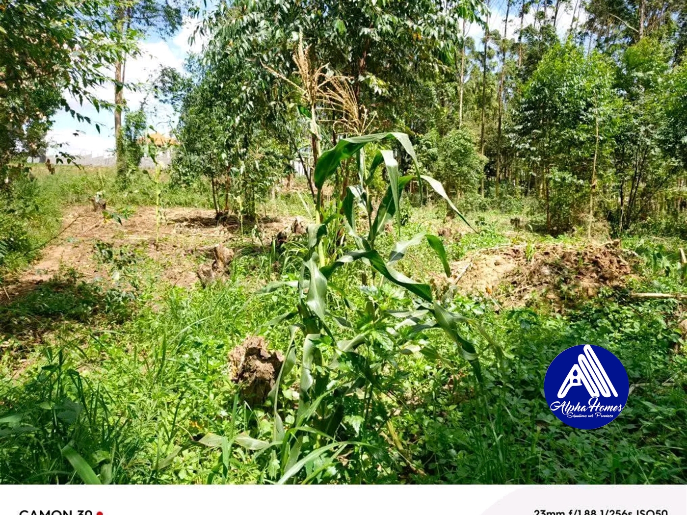 Multipurpose Land for sale in Kijjabiijo Wakiso