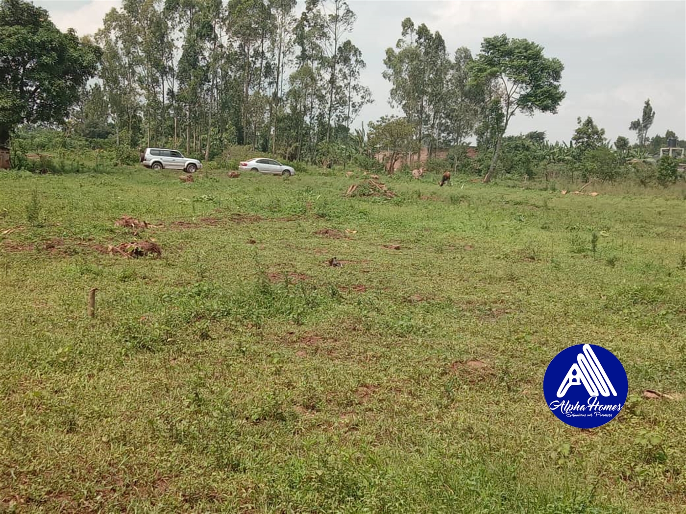 Residential Land for sale in Gayaza Wakiso