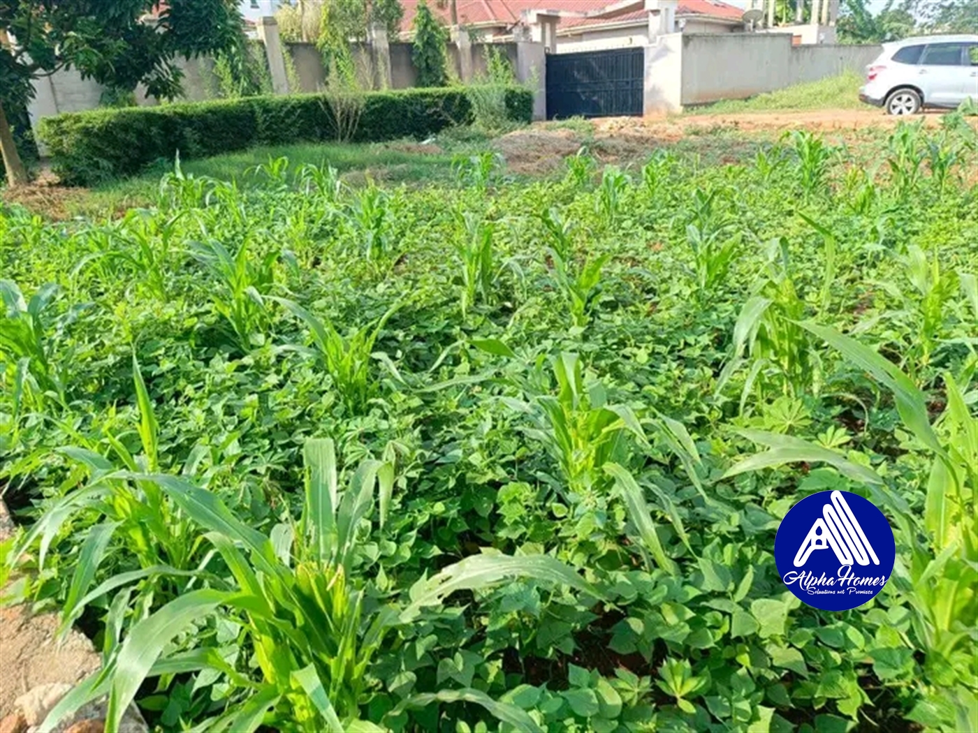 Residential Land for sale in Kulambilo Kampala