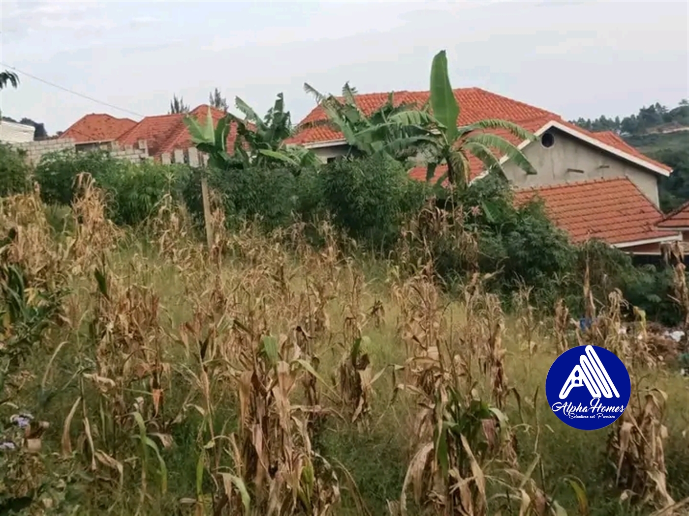 Residential Land for sale in Bwebajja Wakiso