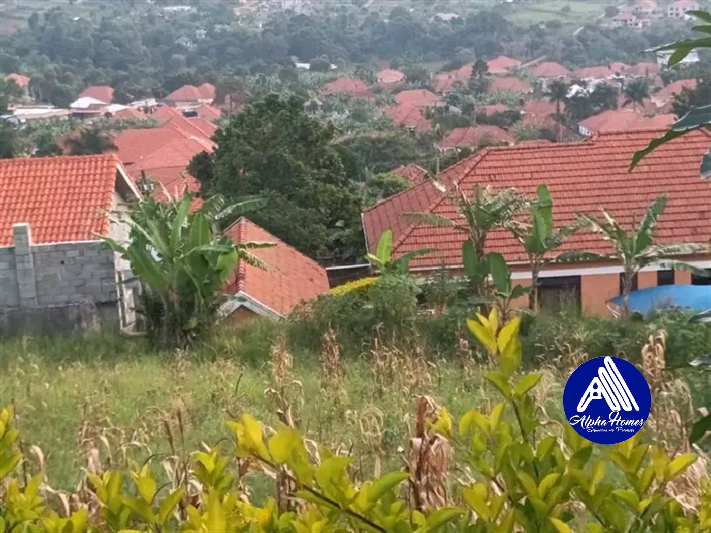 Residential Land for sale in Bwebajja Wakiso