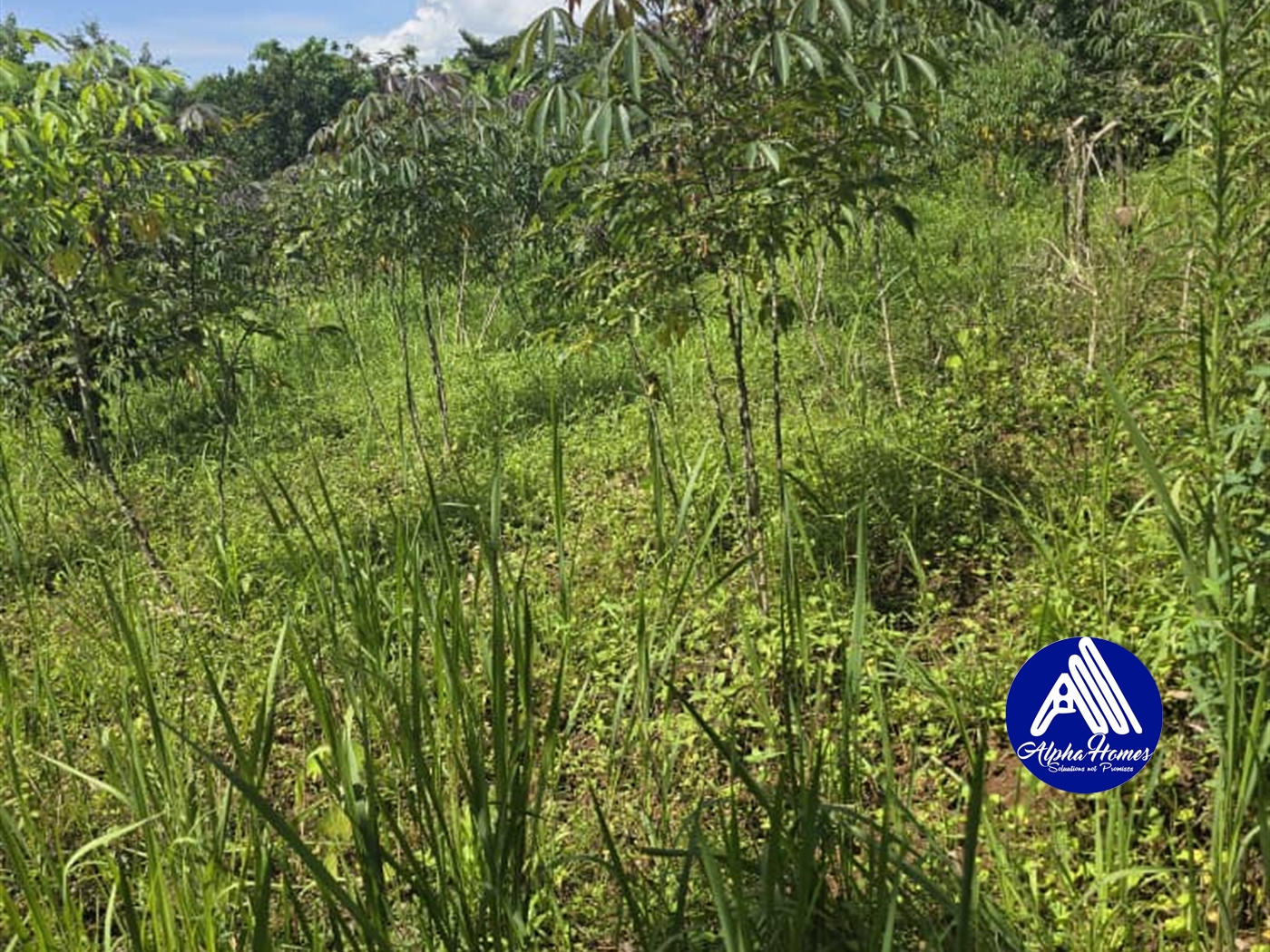 Agricultural Land for sale in Katosi Mukono