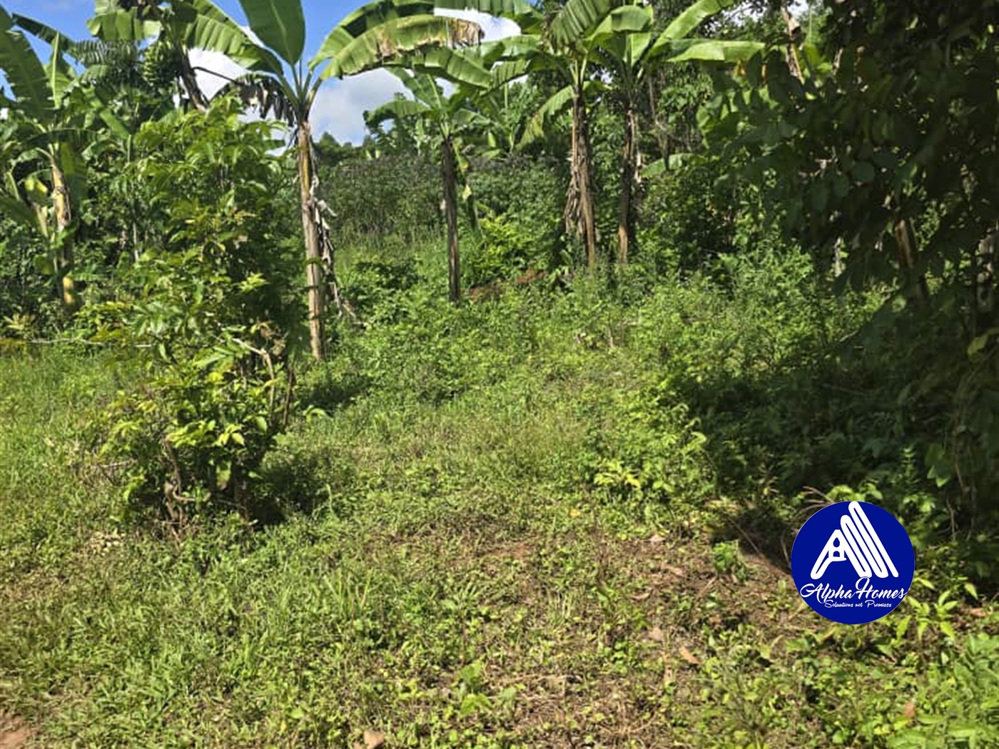 Agricultural Land for sale in Katosi Mukono