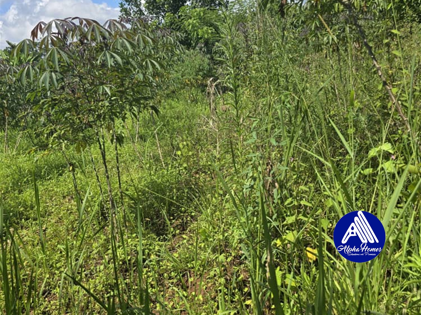 Agricultural Land for sale in Katosi Mukono